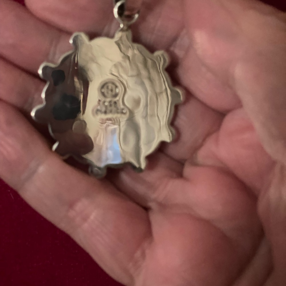 Solid Ss Pendant With Ss Chain Euc - image 2